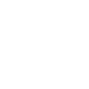 simplon logo